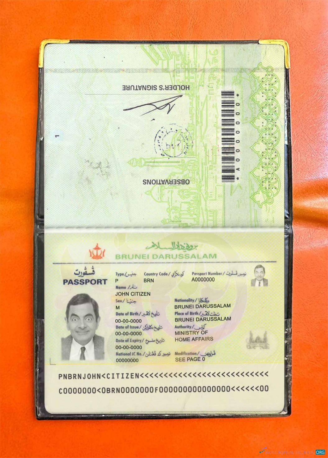 Download Brunei pass photo look Photoshop template